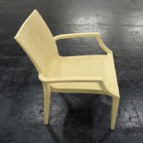 DDW Imitation rattan plastic chair mold in the processing