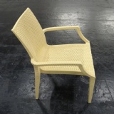 DDW pattern plastic chair mold imitation rattan plastic chair mold